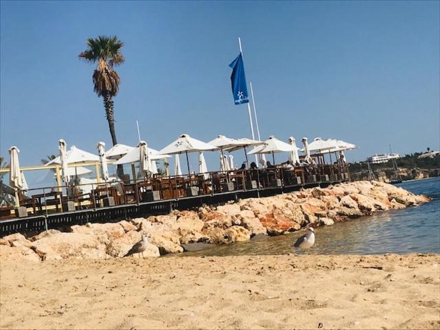 Sofiamarholidays -Casa Flamingo Portimao Bagian luar foto